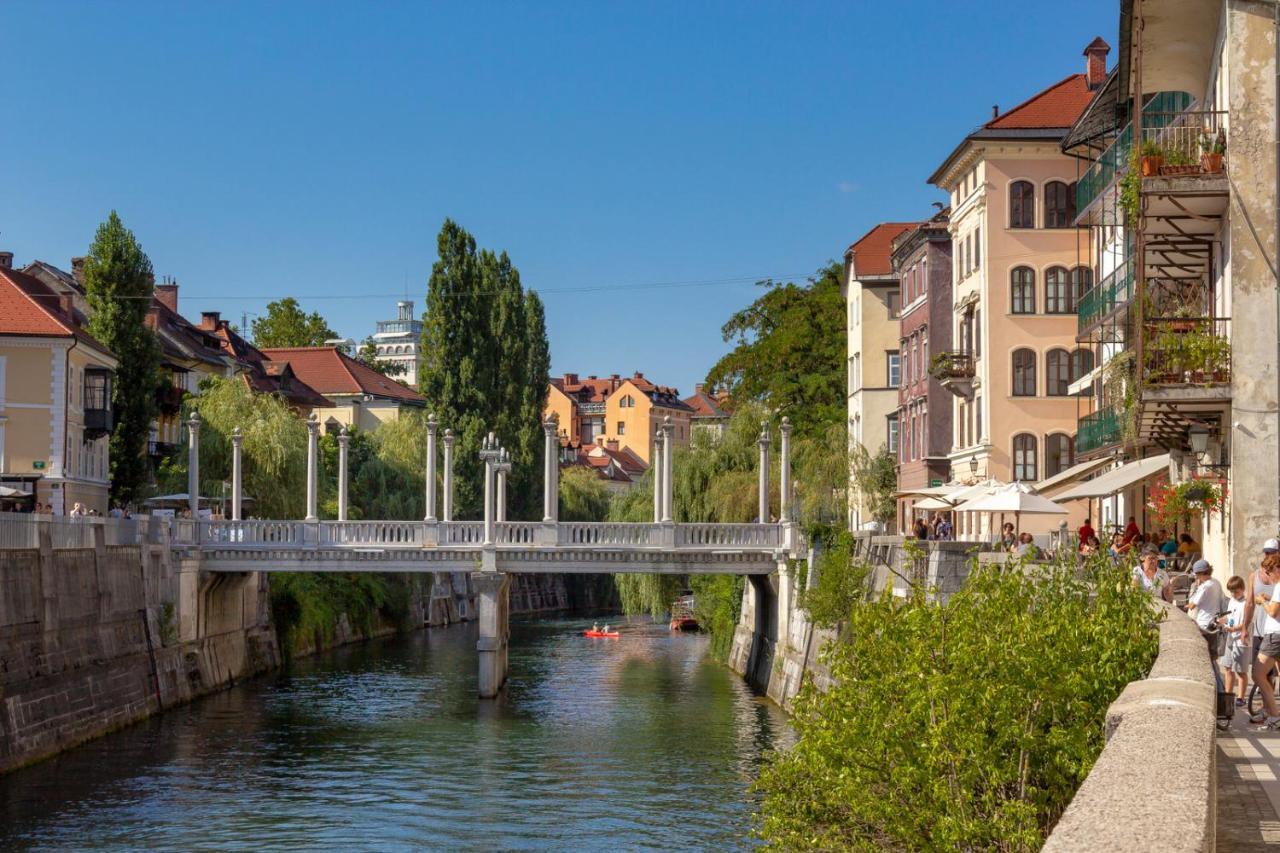 Stari Trg Apartment *